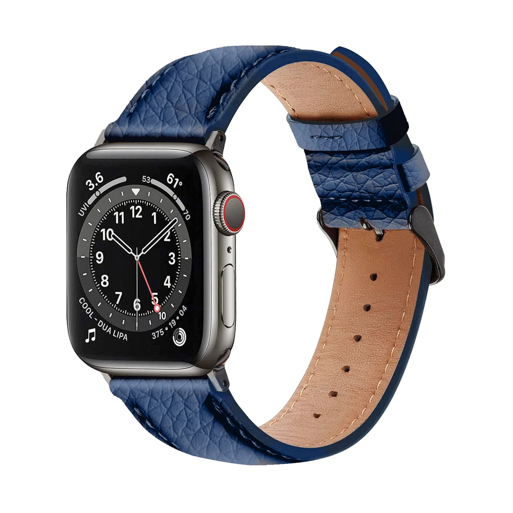 Amur  Bundle pack for iPhone 15 Series Case & Apple Watch Strap 42/44/45/49MM -Blue